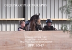 BPP_6547
