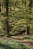Looking towards the Stream