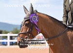 BPP_7383