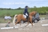 BPP_6744