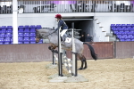 SBM_001267