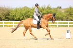 SBM_008432