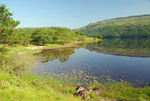 Loch Arienas, Morvern, Argyll