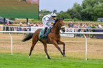 170826-Race 2-Harrys Pop-9186