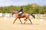 SBM_011783