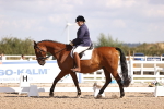 SBM_03639
