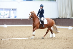 SBM_000491