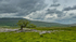 Yorkshire4