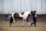 SBM_5349