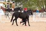 SBM_10221