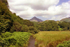 Cnicht from Tan Lan
