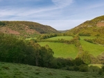 RWT Gilfach, Powys
