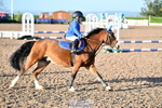 SAT Cls 19 Clear Round 50cm portfolio