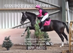 BPP_6610