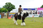 SBM_01104