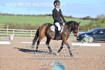 BPP_8311