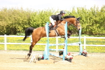 SBM_001848
