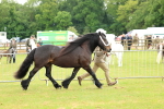SBM_00483
