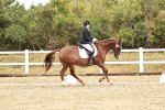 SBM_001299