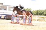 SBM_004408