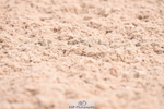 230701A-095904-04275