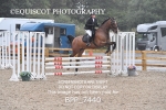 BPP_7440