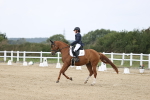 SBM_017436