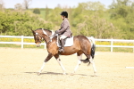 SBM_007987