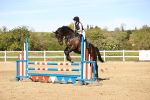 SBM_003184