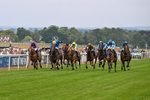 140726-Race 5-Crafty Spirit-1558