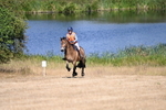 WJ6_8764
