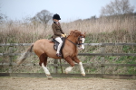 SBM_006075