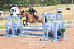 BPP_8487