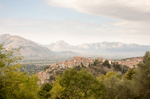 Padula