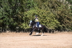 WJ6_7547