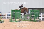 BPP_8298