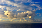 ACP_9856_02