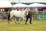 SBM_04155