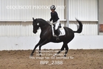 BPP_2388