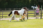 SBM_05496