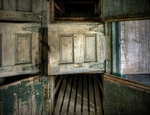 Ellis Island Immigrant Hospital | worlds die in them