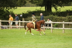 SBM_71645