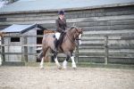 SBM_007332