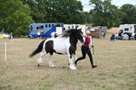 WJ6_5367