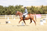 SBM_018158