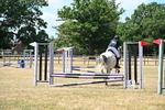 WJ6_5888