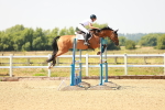 SBM_001873