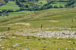 Duddon Short-4