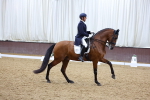 SBM_009677