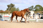 SBM_11492